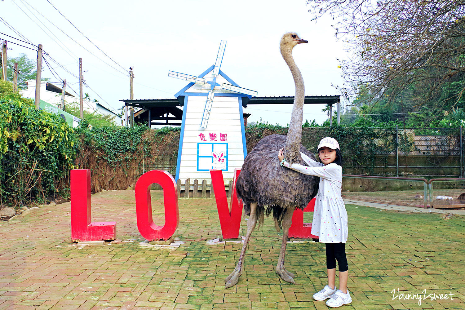 工讀生出來 台中隱藏版農場 可摟鴕鳥拍照 還能餵馬 天竺鼠超療癒 Ettoday旅遊雲 Ettoday新聞雲