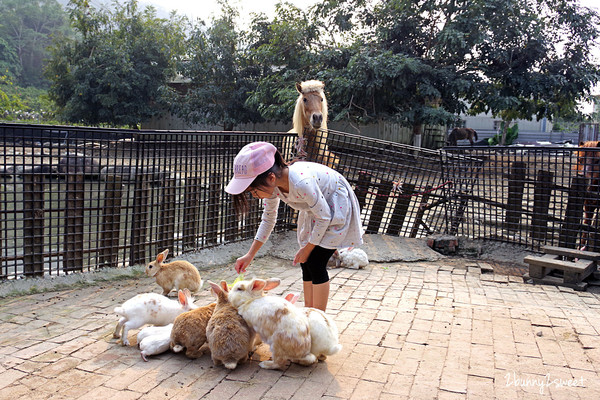 ▲台中石岡 京葉馬場兔樂園。（圖／《兔兒毛毛姐妹花》授權提供）