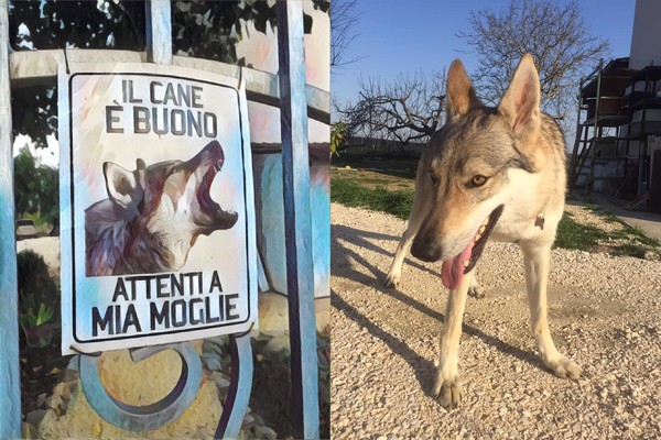 義大利養狗需立 看板警語 誠實尪 狗很乖但小心我老婆 Ettoday寵物雲 Ettoday新聞雲