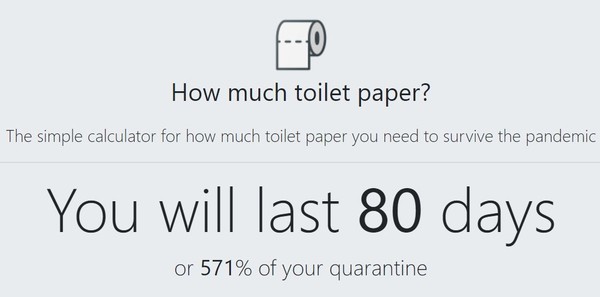 英國網友設計了線上「衛生紙計算器」（圖／翻攝自「How Much Toilet Paper？」網站）