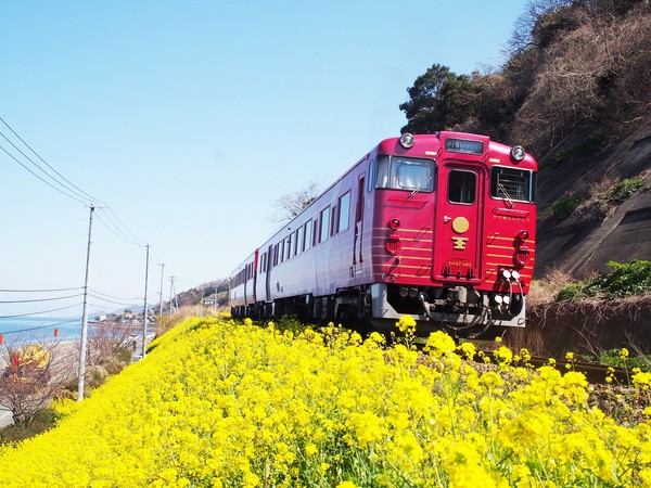 ▲存進你的旅遊口袋名單！下次假期玩日本四國▼             。（圖／七逗旅遊網提供）