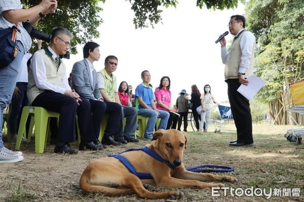 ▲台南市長黃偉哲親自為收編的流浪犬園長，穿上繡有「園長」字樣的斗篷，正式宣布園長開始執勤。（圖／記者林悅翻攝，下同）