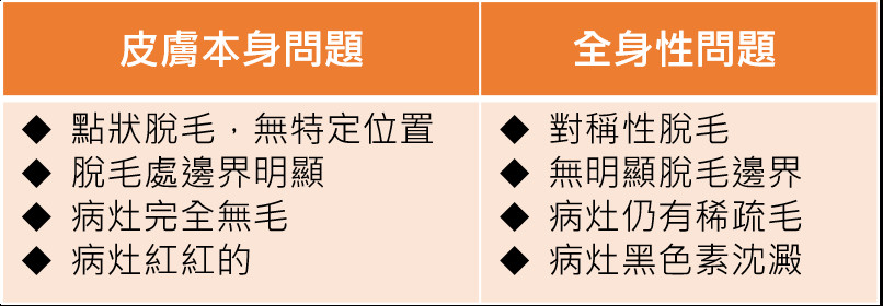 ▲▼寵物掉毛6個關鍵，謝佩珍獸醫師：非點狀脫毛小心內分泌。（圖／東森寵物雲商店）