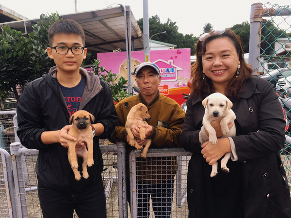 ▲▼校犬年幼愛撲人誤傷學生　獸醫傳授正確訓練法：善用獎勵。（圖／新北市動保處提供）