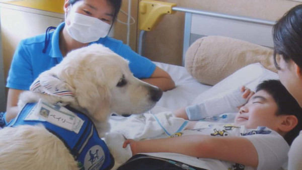 紀錄片《小結的治療犬》呈現人犬之間深刻的情誼。（公視提供）