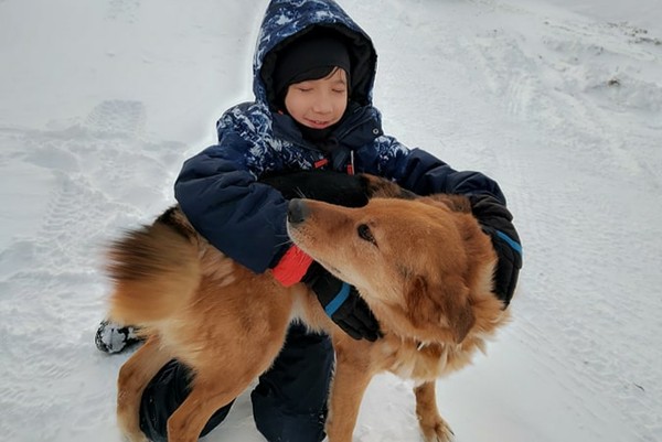 ▲▼身在加拿大的馬修連恩最近都和兒子在家附近遛狗。（圖／獨一無二娛樂文化提供）
