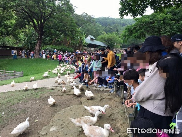 飛牛牧場連假出現人潮。（圖／吳昭寬醫師提供）