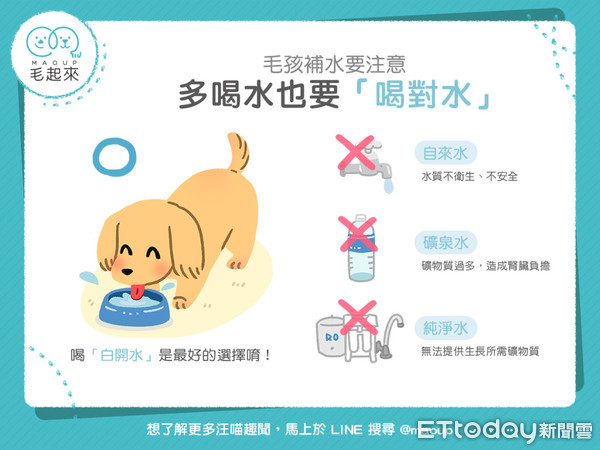 礦泉水ng 3款水 毛孩喝了沒幫助 這款最健康 Ettoday健康雲 Ettoday新聞雲
