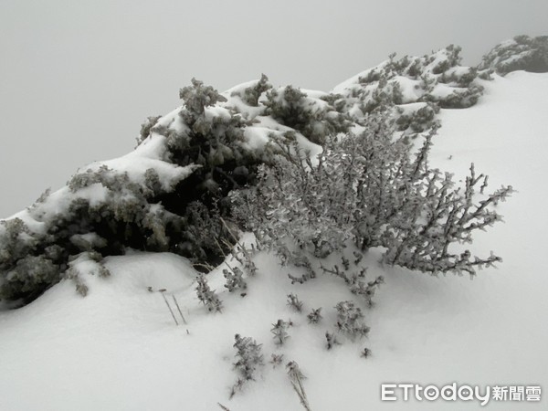 ▲▼玉山山區接連2天降四月雪，目前玉山北峰積雪達14.5公分。（圖／玉山北峰氣象站提供）             