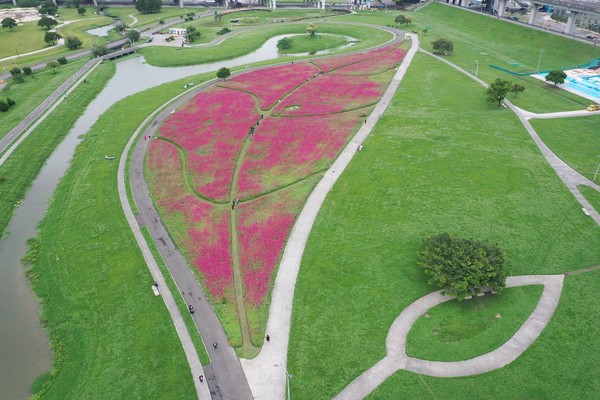 ▲新北花海。（圖／新北市政府高灘地工程管理處提供）