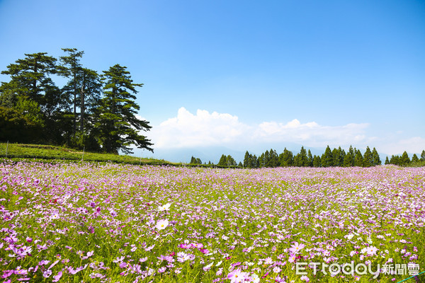 ▲▼福壽山農場。（圖／記者黃克翔攝）