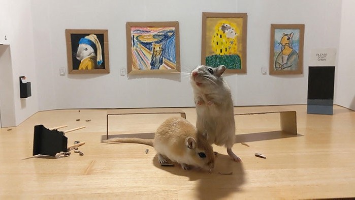 ▲▼沙鼠博物館（圖／翻攝自推特／Filippo Lorenzin）