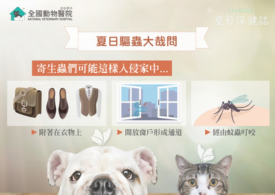 黑色碎屑把耳道都塞滿了 毛孩耳疥蟲只要接觸就有可能感染 Ettoday寵物雲 Ettoday新聞雲