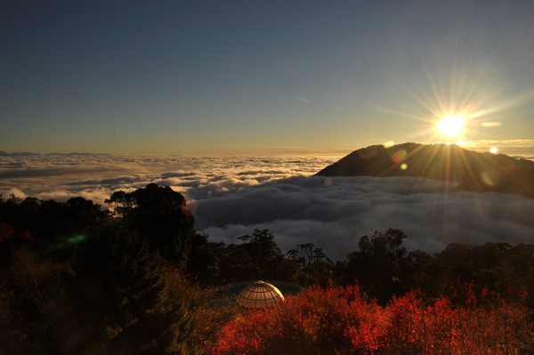 大雪山楓紅（圖/取自大雪山森林遊樂區官網)