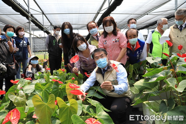 ▲立委賴惠員、市議員吳通龍和尤榮智，與黃偉哲市長一同前往六甲百芳農場，大家一起關心花農受到疫情影響的產銷問題，集思廣益尋找解決之道。（圖／記者林悅翻攝，下同）