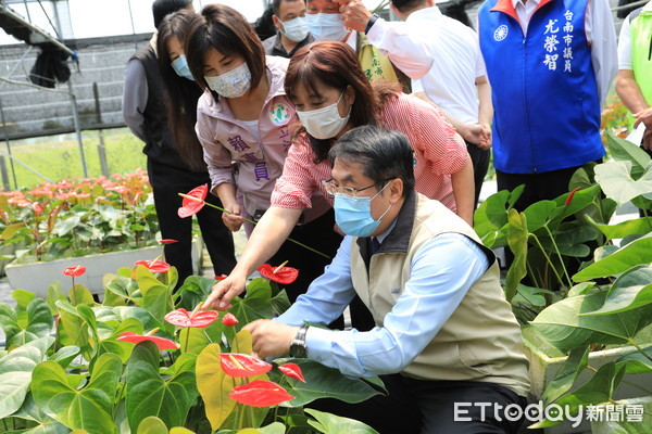 ▲立委賴惠員、市議員吳通龍和尤榮智，與黃偉哲市長一同前往六甲百芳農場，大家一起關心花農受到疫情影響的產銷問題，集思廣益尋找解決之道。（圖／記者林悅翻攝，下同）