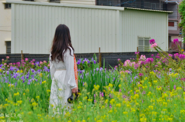 ▲彰化芬園德興社區。（圖／攝影師《飛翔在天際》提供，請勿隨意翻拍，以免侵權。）