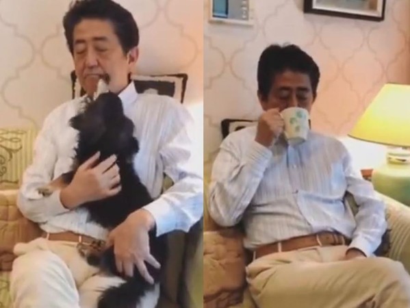 ▲▼日本首相安倍晉三貼出在家對抗疫情的影片卻被罵翻。（圖／翻攝自推特／@AbeShinzo）