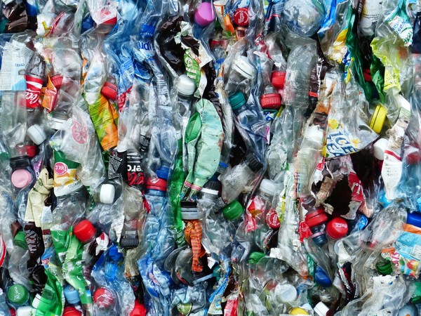 ▲塑膠垃圾難以分解，對環境造成極大傷害。（圖／翻攝自pixabay）