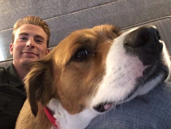 ▲▼克里斯伊凡、愛犬道奇。（圖／翻攝自Twitter／Chris Evans）