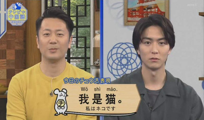 日電視台中文教學句子「我是貓」　奇特例句網笑瘋：什麼時候用得到