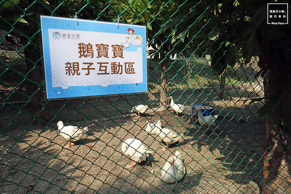 ▲▼鵝童樂園。（圖／我是方小姐。旅行食光）