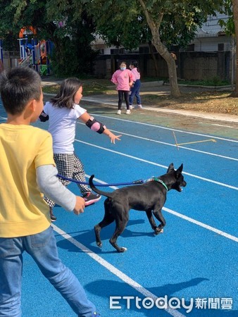 ▲校犬離世後信箱出現一封許願信　文化國小領養「踏雪黑汪」延續愛。（圖／文化國小提供，下同）