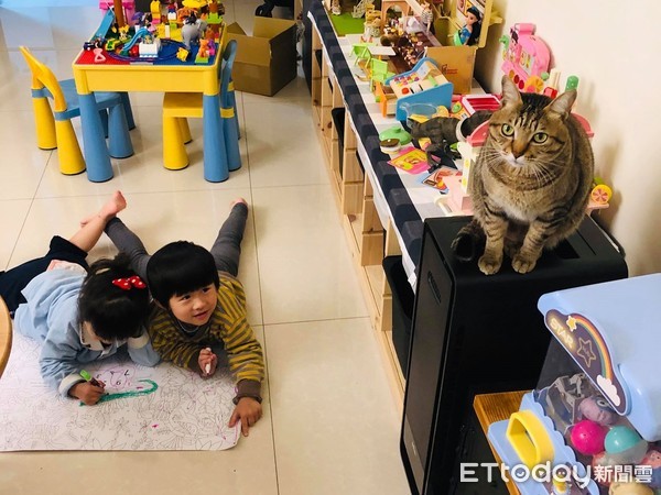 ▲Sannie Lin常帶著兒子到鄰居家玩貓。（圖／網友Sannie Lin授權提供）