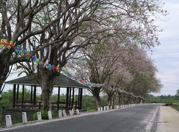 ▲新冠肺炎疫情發燒，嚴重衝擊國內觀光旅遊業，尤其是清明連假被列入國家級警點的烏山頭水庫風景區入園遊客更是銳減，委外太陽能船業者擔心疫情再持續下去，員工會放「無薪假」影響生計。（圖／翻攝自業者臉書）