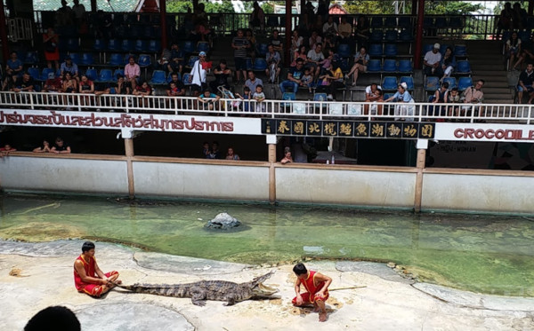▲泰國北欖鱷魚湖動物園。（圖／翻攝自google map）