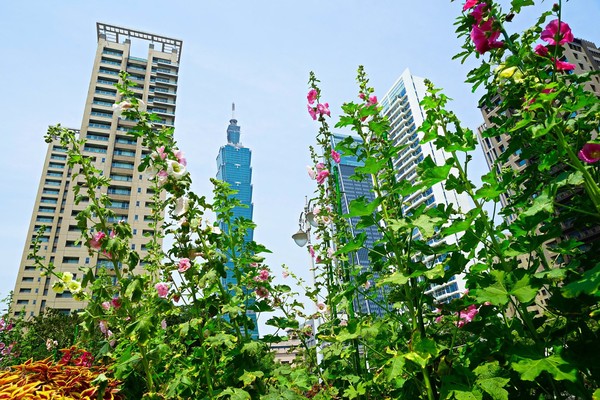 ▲象山公園 。（圖／翻攝自台北旅遊網，攝影：高讚賢）