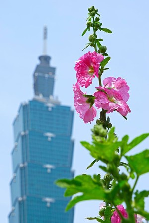 ▲象山公園 。（圖／翻攝自台北旅遊網，攝影：高讚賢）