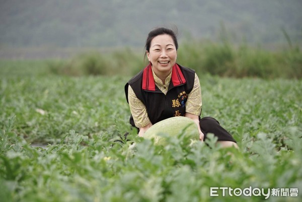 ▲▼花蓮縣長徐榛蔚憂心疫情衝擊花蓮大西瓜的買氣，主動為瓜農行銷代言。（圖／花蓮縣政府提供，下同）