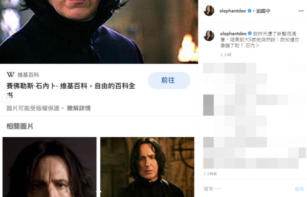 ▲▼小S。（圖／翻攝自Instagram／elephantdee）