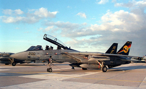 ▲ F-14雄貓戰機。（圖／取自免費圖庫維基百科）