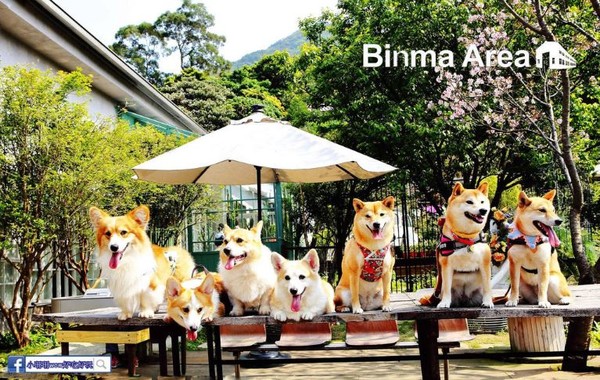 ▲▼Binma Area 134。（圖／小珊珊wow好吃好玩提供）