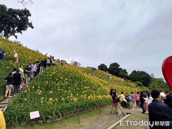 ▲假日前往花壇虎山巖賞金針花的人潮。（圖／記者唐詠絮翻攝）