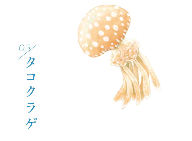 ▲水母雨傘。（圖／翻攝自felissimo.co.jp）