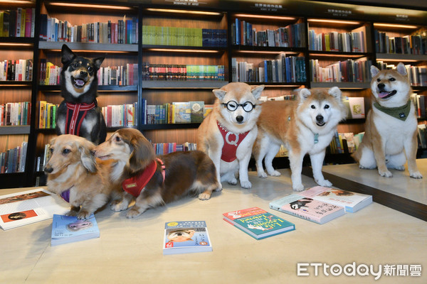 ▲▼誠品敦南店邀請超人氣「柴犬Q將」5/1將擔任誠品書店一日店長。（圖／記者張一中攝）