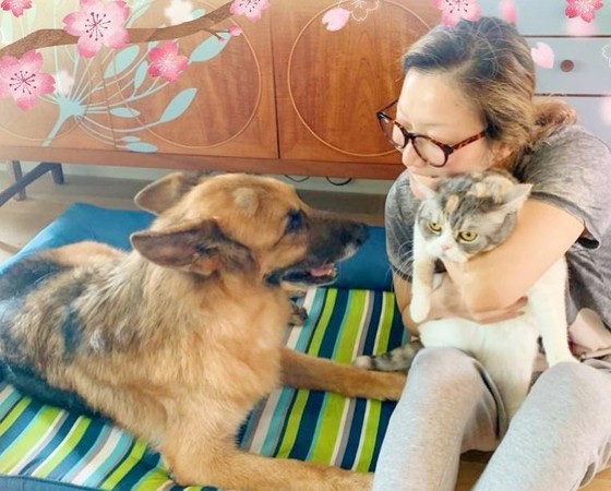 鄭秀文的愛犬Lucky昨（29日）15歲生日，她抱著愛貓以一家三口照片來為愛犬慶生。（翻攝自鄭秀文IG）