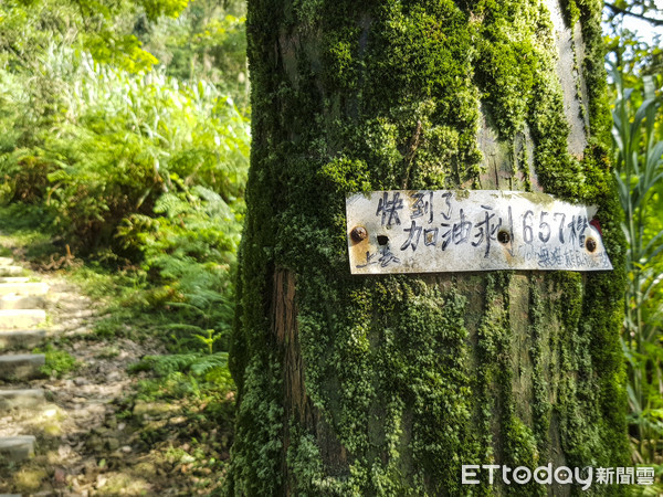 ▲ 五一連假接近大自然呼吸新鮮空氣 基隆姜子寮登山步道老少咸宜。（圖／基隆市政府提供）