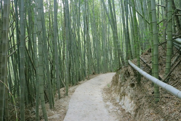 ▲▼柏竺山莊。（圖／旅人狂潮就愛趴趴照提供）