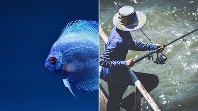 抓魚貼臉拍「大口吃魚照」　失手整條滑進嘴巴裡　印度少年悲劇噎死