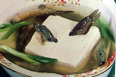 阿嬤級名菜「泥鰍鑽豆腐」整碗頭尾亂竄　網揭製作過程：太變態！