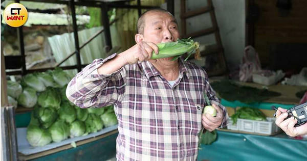 在竹子湖賣蔬果的李阿伯模仿猴子一手吃玉米，另一手腋下還挾著一根的模樣，連他自己都覺得又好氣又好笑。（圖／張文玠攝）