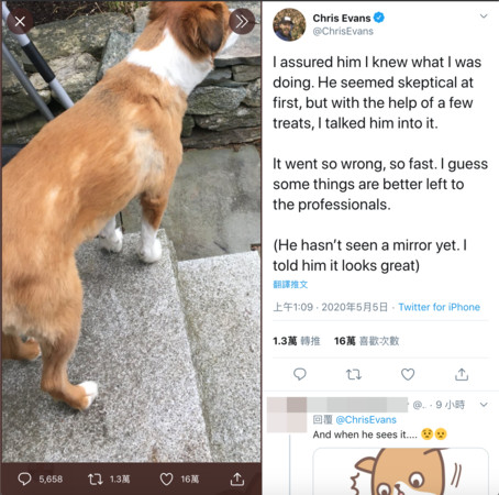 ▲▼克里斯伊凡、愛犬道奇。（圖／翻攝自Twitter／Chris Evans）