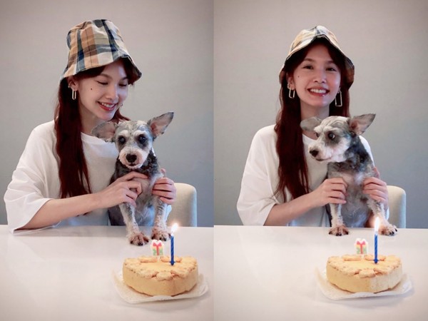 ▲▼楊丞琳替愛犬Yumi歡慶15歲生日。（圖／翻攝IG）
