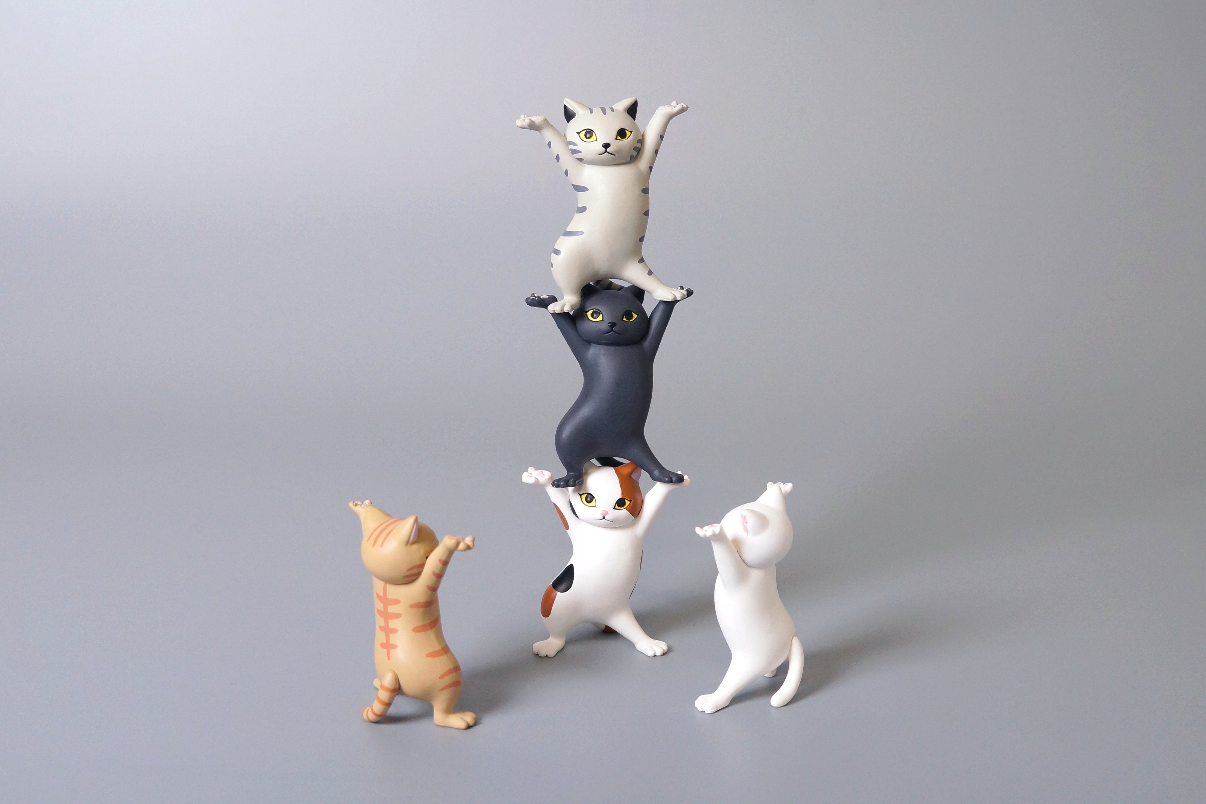 ▲貓咪舉手扭蛋。（圖／翻攝自hoshizora-shop.jp）