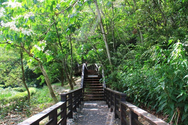 ▲▼苗栗銅鑼好客公園。（圖／飛天璇提供，以下皆同，請勿隨意翻拍以免侵權。）