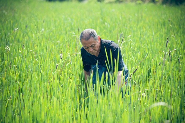 ▲▼520就職紀念酒幕後守護者！「橡木桶修復師」陳慶昇師傅，41年技藝即將封存。（圖／中華文化總會提供）